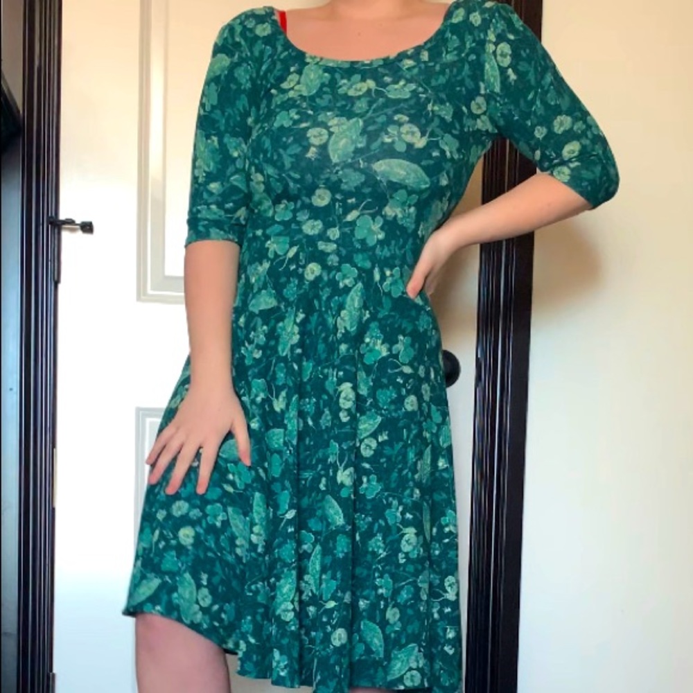 🎀NEVER WORN LULAROE DRESS